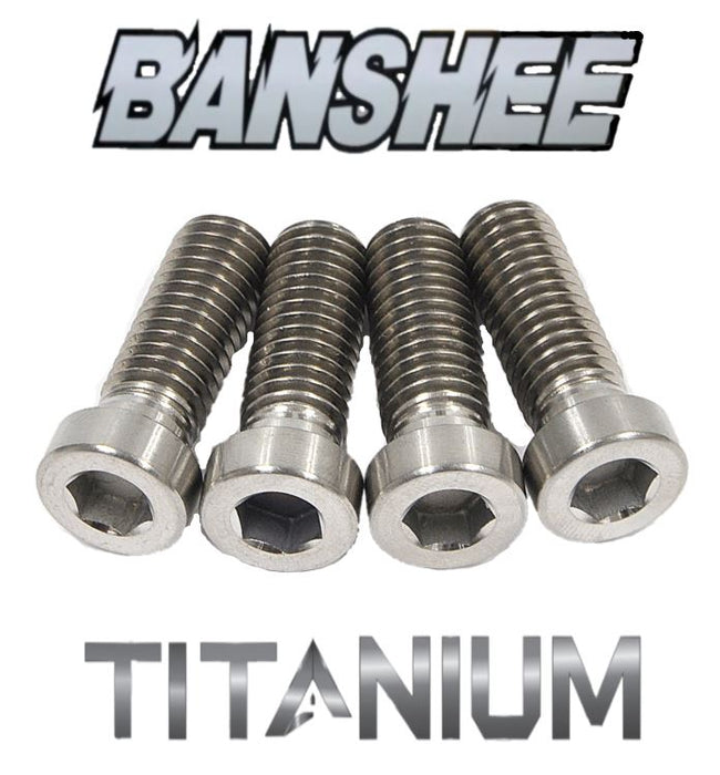 Banshee Foot Peg Bolts TITANIUM Banshee 350 Pegs Flange Bolts 95817-10025-00