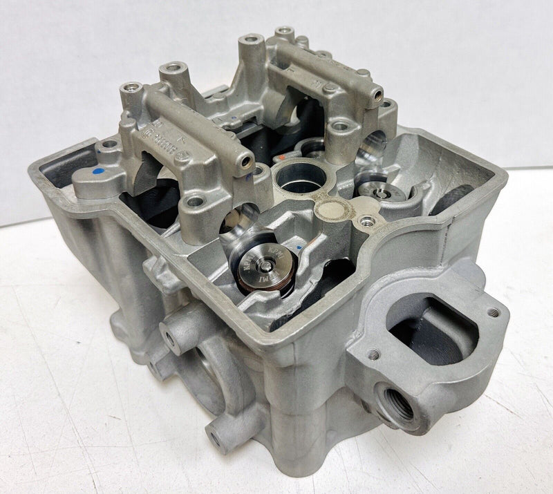 Predator 500 Head Valve Springs Ported Assembled Cylinder Head Porting Assembly