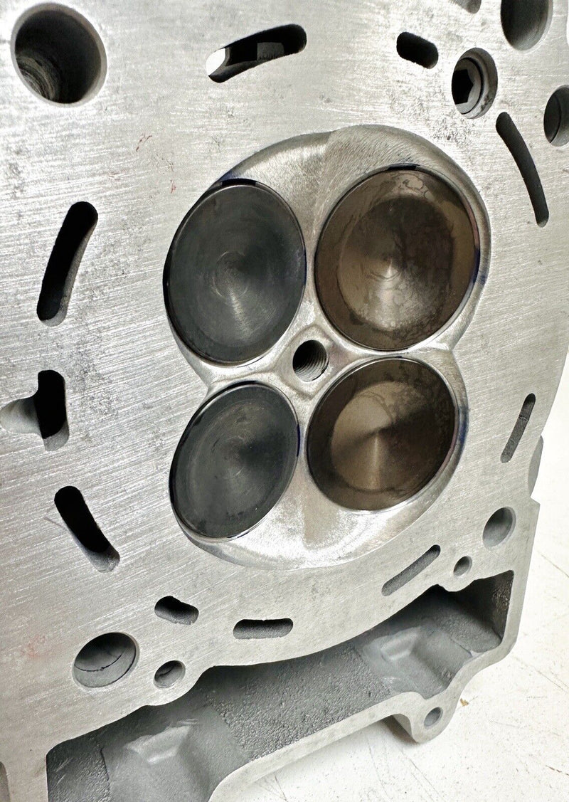 Predator 500 Head Valve Springs Ported Assembled Cylinder Head Porting Assembly