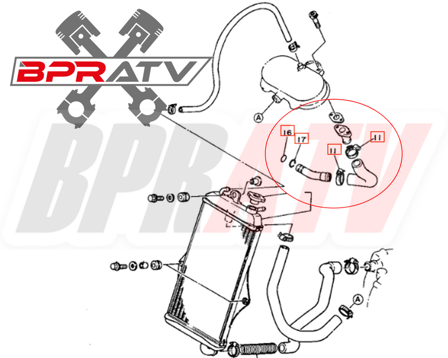 Yamaha Banshee Coolant Tube SILICONE O-Ring Circlip Clamps to Clutch Cover Fix