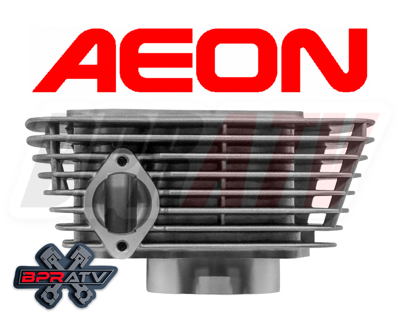 05-23 Polaris Phoenix 200 Complete Top End Rebuild Kit OEM Piston Namura Gasket