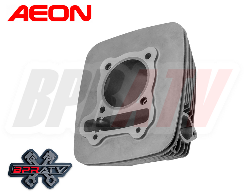 05-23 Polaris Phoenix 200 Complete Top End Rebuild Kit OEM Piston Namura Gasket