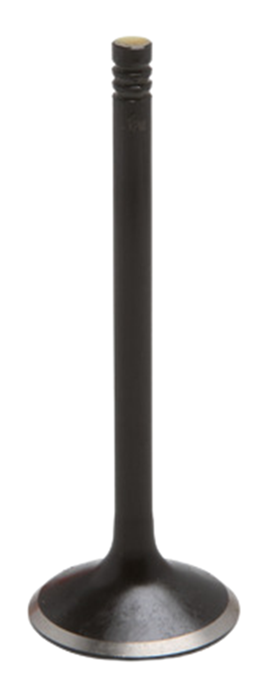 04-07 Honda CRF250R CRF 250R OEM Head Kibblewhite Head Fix EXHAUST Valves Seals